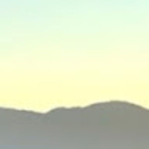 Meet your Posher, Samuel